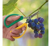 RASTKY Cortador de Jardín Tijeras Florales de Acero Inoxidable con Cuchillas Dentadas, Cómoda Podadora de Mano para Cortes Fáciles, Ligera, 5,70 Pulgadas, 1 Pieza para Entusiastas de la Jardinería