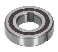 RASTKY CSK30PP Rodamiento de Chavetero de 30 Mm Bloquea el Eje de Transmisión en la Industria del Automóvil, Rodamiento de 1 Vía con Alta Capacidad de Carga, Dureza HRC61-65