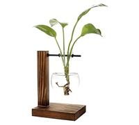 RASTKY Florero de Vidrio Transparente con Diseño único para Colgar en Soporte de Madera para Decoración de Mesa del Hogar, Fácil de Limpiar para Sala de Estar, Cocina, Oficina, 6.6 X 5.1 X 3.8