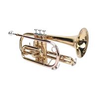 RASTKY Juego de Trompeta Estándar en Sib para Principiantes o Avanzados, Instrumento Orquestal de Trompeta en Sib con Profesionales Principiantes, Instrumento de de Latón con Disco Duro