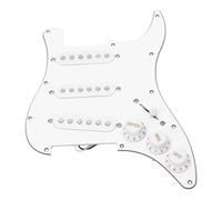 RASTKY Kit de Guitarra Eléctrica Personalizable con Protector Cargado Recableado, de Cresta, Placa y Tornillos, Nivelación y reparación: Construya su Propio Instrumento