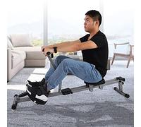 RASTKY Máquina de Remo de Acero Cardio Rower Gym Fitness Equipment Ajuste de Resistencia de 12 Engranajes para Entrenamiento de Cuerpo Completo