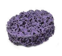 RASTKY Muela Abrasiva con Bloqueo de Rollo de Disco con Tira de Polietileno de 50mm y 2 Pulgadas, 5 Discos de Lijado para Eliminación de Pintura y óxido, Poco Ruido Polvo, Color Morado (2 pulgadas