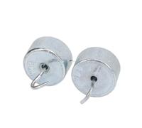 RASTKY Peso de Gancho de Laboratorio Cromado, Juego de Pesas de Doble Gancho de 10 G con Estuche, Herramienta de Enseñanza de Física de Alta Precisión para Investigación de Laboratorio