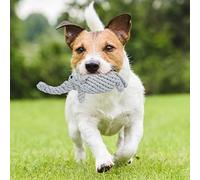 RASTKY Premium - Juguete de Cuerda para Perros de Hilo, Forma de Animal de Dibujos Animados, Tejido Manual, Cuerda para Mascotas, Morder, Masticar, Juguete Molar, Perros, Interactivo para Masticar