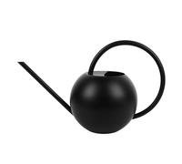 RASTKY Regadera de Acero Inoxidable Negra, Diseño Superior Semiabierto de 1000ml para Plantas Colgantes, Plantas Montadas en la Pared