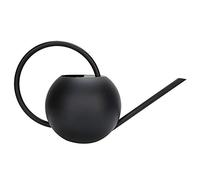 RASTKY Regadera Elegante y Duradera de Acero Inoxidable para Plantas Domésticas, Capacidad de 1 Litro, Color Negro, 12,2x7,1x5,5 Pulgadas