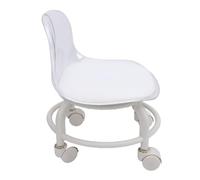 RASTKY Taburete con Ruedas Cortas, Silla con Respaldo Portátil, Taburete Acrílico Pequeño con Rotación de 360 Grados para Salón de Belleza (Gris Transparente)