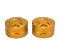 RASTKY Tapa de Interruptor de Elevación de Parabrisas de Motocicleta, Cubierta Decorativa Ajustable de Repuesto para ADV150 ADV160 ADV350 para una Fácil Instalación (Dorado)