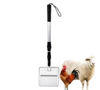 Rastrillo Para Gallinero - Herramienta Telescópica De Limpieza Para Gallineros, Pala Para Eliminar Heces | Cuchara Para Quitar Estiércol De Pollo Hecha De Metal Con Mango Telescópico Resistente, Acces
