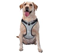Rastros de Huellas de Patas Cate,Arnés para Mascotas, arnés Reflectante Ajustable para Perros,XL