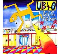 Rat in the Kitchen