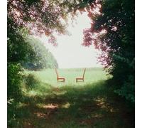 Ratboys - Singin' to An Empty Chair [Vinilo]
