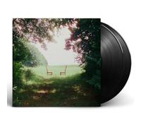 Ratboys - Singin' to An Empty Chair [Vinilo]