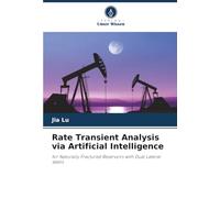 Rate Transient Analysis via Artificial Intelligence: for Naturally Fractured Reservoirs with Dual Lateral Wells