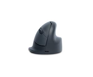 Ratón ergonómico básico R-GO HE