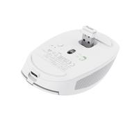 Ratón inalámbrico Trust Ozaa Compact, blanco