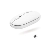 Ratón inalámbrico X9 2.4G - Ratón silencioso y cómodo para computadora con receptor USB y 3 niveles ajustables - Ratón inalámbrico para Windows Mac PC Notebook Chromebook