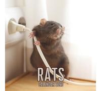 Rats Calendar 2026: 14-Month Organizer from Nov 2025 to Dec 2026 | Perfect for Home, Office, School & Family Scheduling, For Men , Women , Girls , Boys