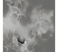 Rats On Rafts - Deep Below [Vinilo]