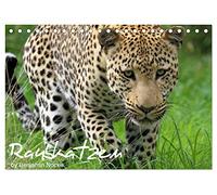 Raubkatzen (Tischkalender 2026 DIN A5 quer), CALVENDO Monatskalender: Die faszinierende Welt der Großkatzen. Löwen, Leoparden, Tiger und Geparden
