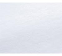 Rauch Vinilo Mate PRO 220 Película de Vinilo para Exterior, autoadhesivo - 130 g/m², 36 x 30 metros