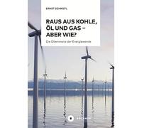 Raus aus Kohle, Öl und Gas - aber wie?: Die Dilemmata der Energiewende