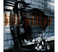 Raven In The Snow by Bill Miller