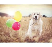 Ravensburger 12000221 - Fiesta de Globos - Puzzle 500 Piezas - Puzzle Adultos y niños a patir de 12 años