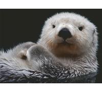 Ravensburger 12000235 - Adorable Nutria - Puzzle 500 Piezas - Puzzle Adultos y niños a patir de 12 años