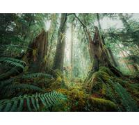 Ravensburger Puzzle Bosque 12000292 – 1000 piezas, a partir de 14 años, paisaje y naturaleza