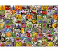 Ravensburger 12000617 - Bee Collage - puzzle 1000 piezas - puzzle adultos y niños a patir de 14 años,