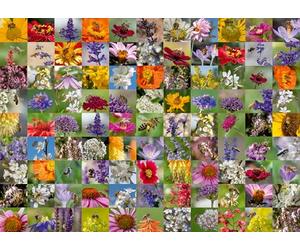 Ravensburger 12000617 - Bee Collage - puzzle 1000 piezas - puzzle adultos y niños a patir de 14 años,