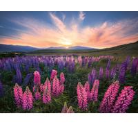 Ravensburger 12000688 - Cataratas del Niágara - Puzzle 1000 Piezas - Puzzle Adul