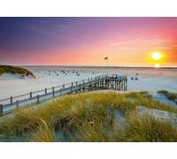 Ravensburger 12000690 - El atardecer sobre Amrum - puzzle 1000 piezas - puzzle adultos y niños a patir de 14 años, puzzle playa