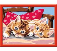 Ravensburger 283422 "Two Cuddly Kittens - Juego de pintura por números