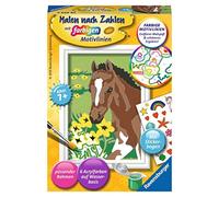 Ravensburger 28463 Libro/álbum para colorear - Libros y páginas para colorear (Libro/álbum para colorear, Niño, Niño/niña, 7 año(s), 6 pieza(s)) , color/modelo surtido