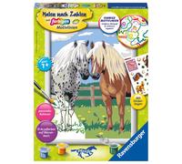 Ravensburger 28566 Color by Numbers Kit Libro y página para Colorear - Libros y