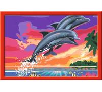 Ravensburger 28907 Libro/álbum para colorear - Libros y páginas para colorear (Libro/álbum para colorear, Niño, Niño/niña, 9 año(s), 310 mm, 210 mm) , color/modelo surtido