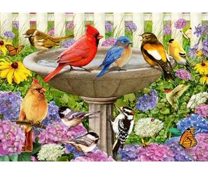 Ravensburger- At The Birdbath Rompecabezas, Multicolor (16793)