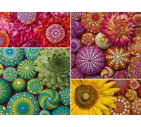 Ravensburger Color Your World Series: Mandala Blooms 500 Piece (Importación USA)