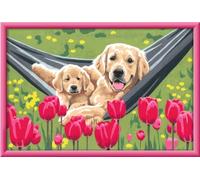 Ravensburger CreArt 20164 - Pausa para acurrucarse, Pintura por números, Perro para niños a Partir de 9 años, Set de Pintura con Marco, Pinceles y Pinturas acrílicas, Regalo para niñas y niños