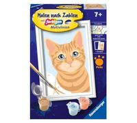 Ravensburger Pintura por números 23756 Lindo Gato - Con marco, pincel y pinturas acrílicas, 7+ años