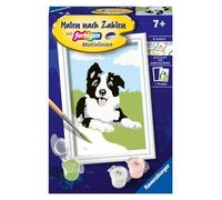 Ravensburger-CreArt 23759 Perro Pintura por números Border Collie Cachorro - Niños a Partir de 7 años, Color Amarillo, Mittel