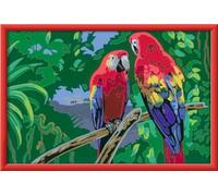 Ravensburger Pintura por números CreArt 23770 Loros – 9+ años – Con marco y pinturas acrílicas