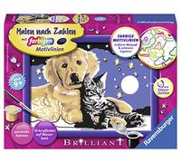 Ravensburger CreArt 28016 - Sparkling Starry Sky, Cuadro de Numbers Dog y Cat a Partir de 9 años, Set de Pintura con Marco, Pincel y Pinturas acrílicas, Regalo para niños y niñas, con Purpurina
