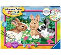 Ravensburger CreArt 28517 - Conejo limpio - Pintura por números Conejos para niños a partir de 9 años, kit de pintura con marco, pinceles y pinturas acrílicas, regalo para niñas y niños