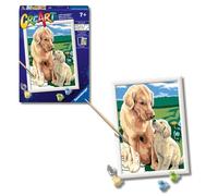 Ravensburger - CreArt Serie D, Retriever en el Prado, Pintura por Numeros, Kit de Pintura para Niños, Juego Educativo para Niños de 7+ Años, 26x20 cm