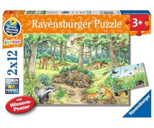 Ravensburger Kinderpuzzle - 05673 Tiere im Wald und auf Der Wiese - 2x12 Teile + Wissensposter, Wieso? Weshalb? Warum? Puzzle für Kinder AB 3 Jahren: Puzzlevergnügen gepaart mit Sachwissen