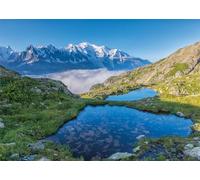 Ravensburger- Nathan Puzzle para Adultos, 84 x 60 cm (12000947)
